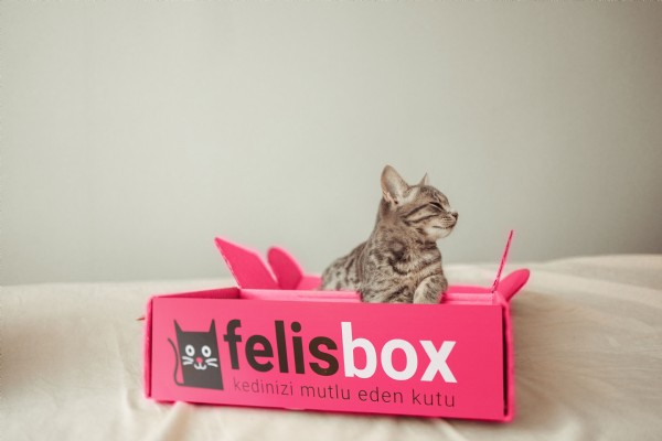 En sevdiğinizi mutlu eden kutu: Felis Box